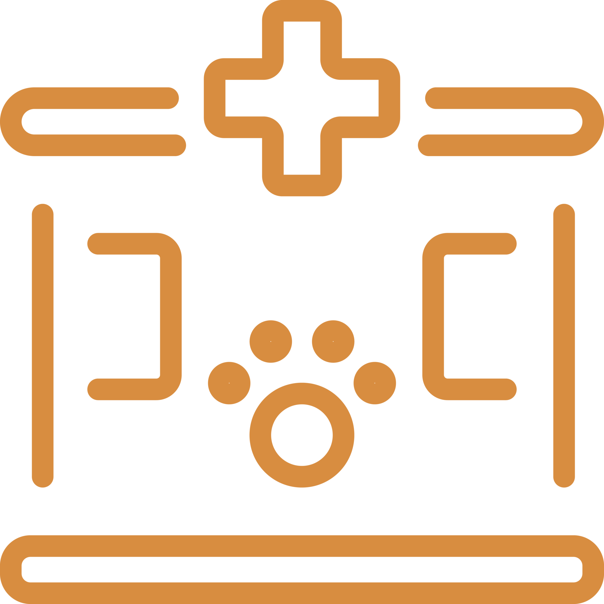 Animal Clinic Icon
