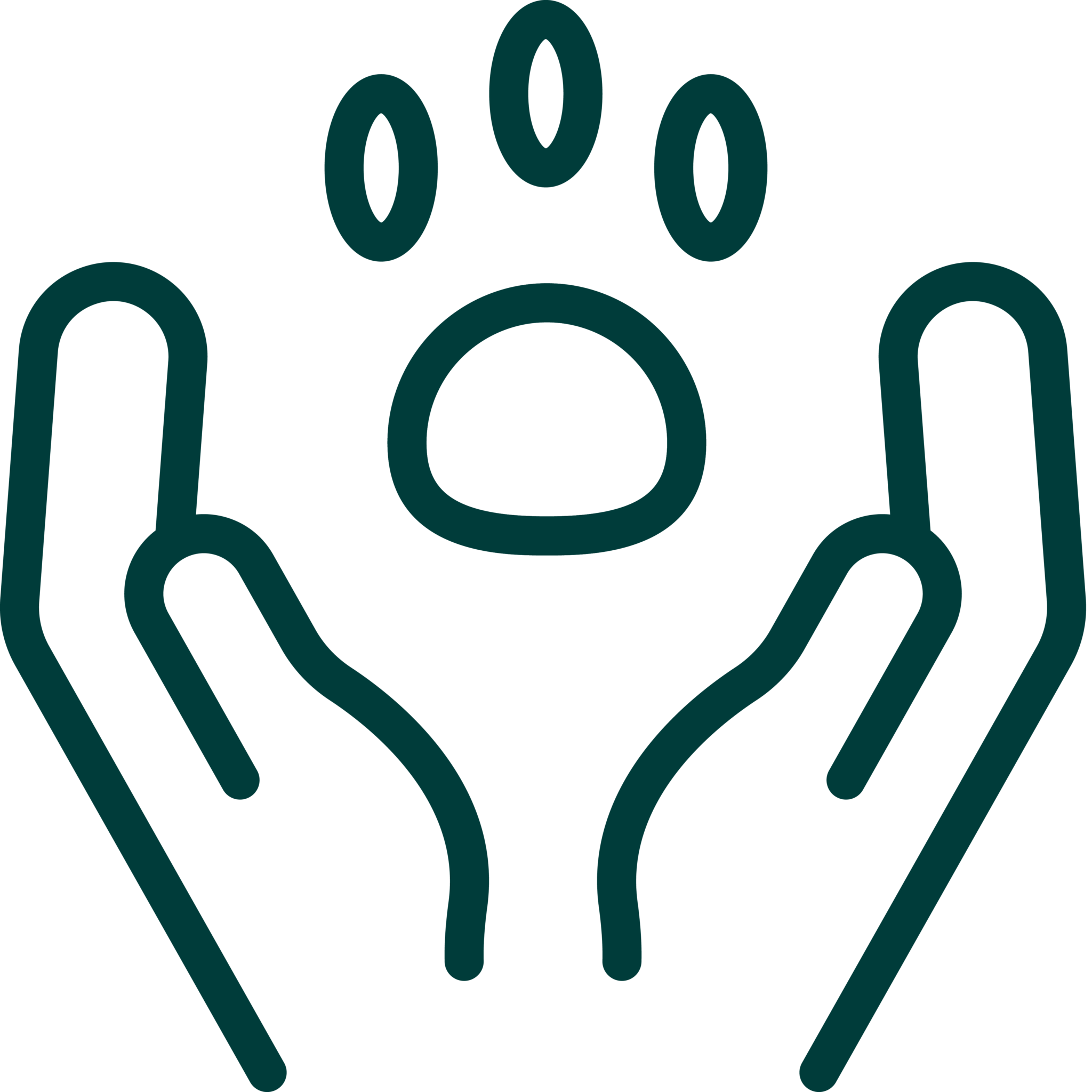 Pet Care Icon