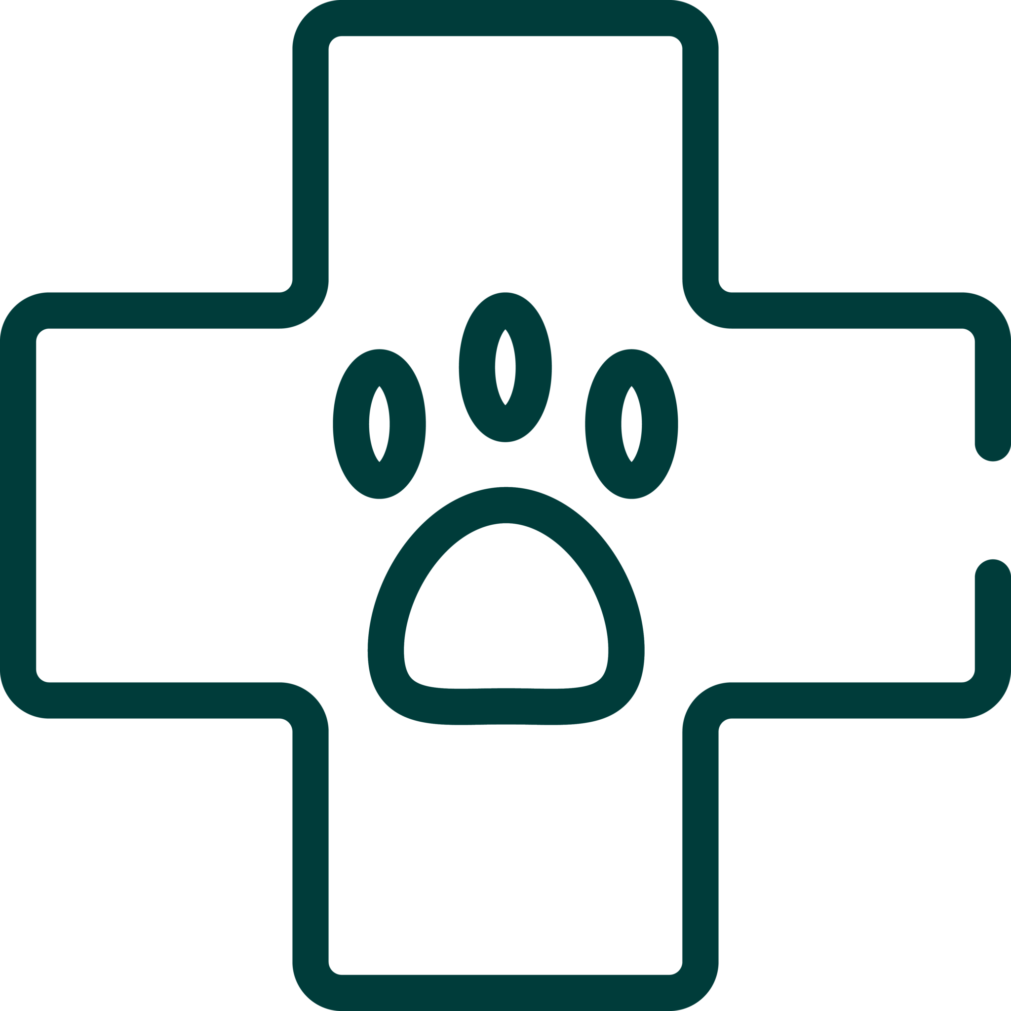 Pet Medical Care Icon