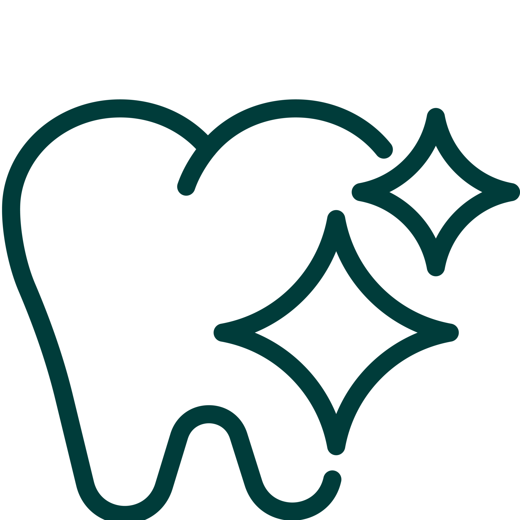 Tooth Icon