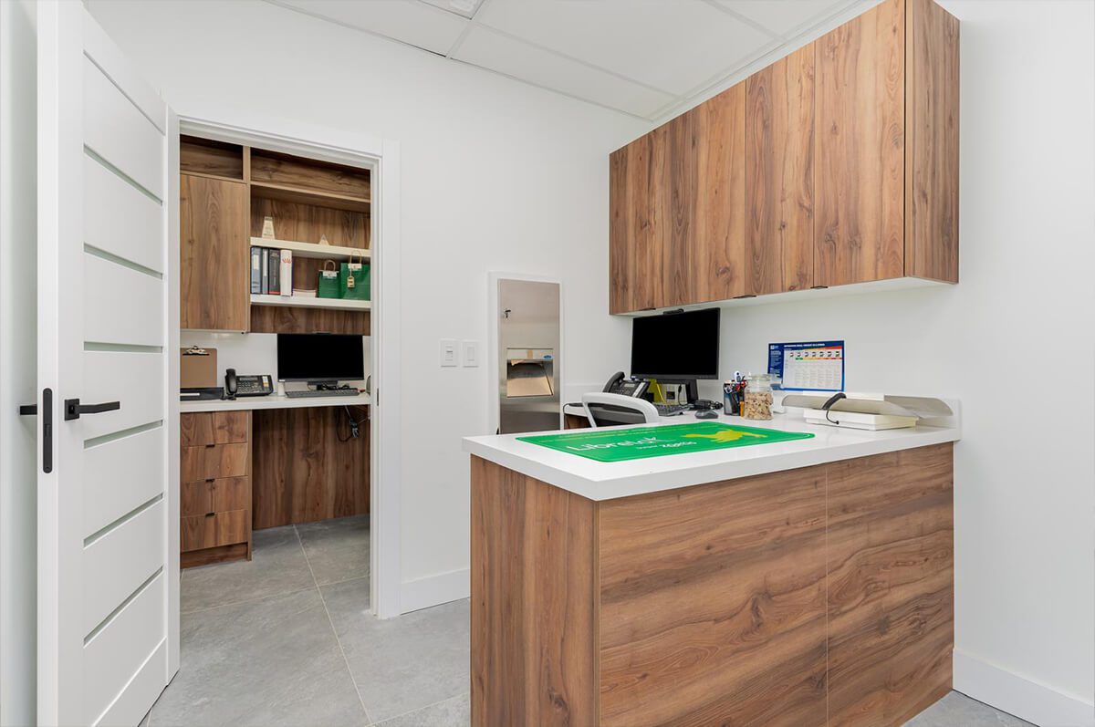 Exam Room in east york animal clinic