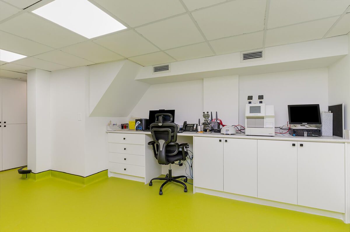 Lab in east york animal clinic
