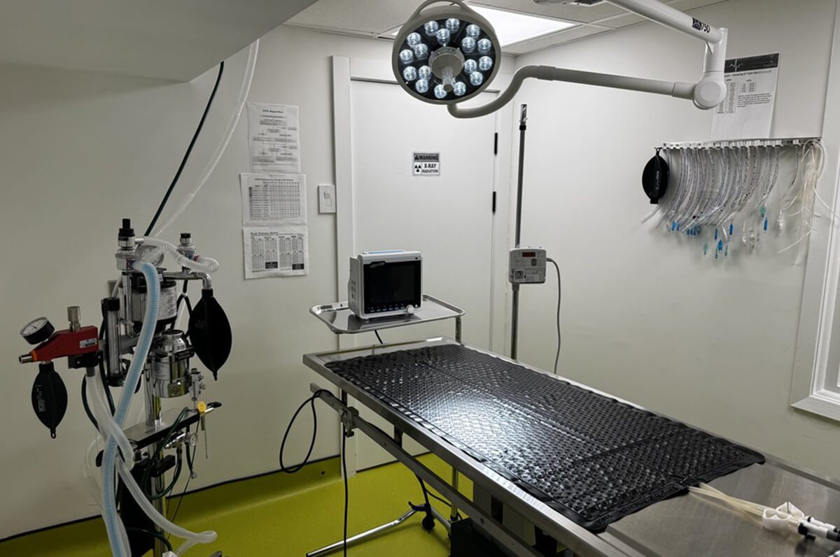 Surgery Room in east york animal clinic