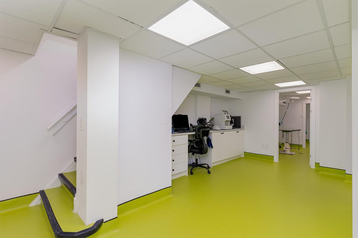 Treatment Area in east york animal clinic
