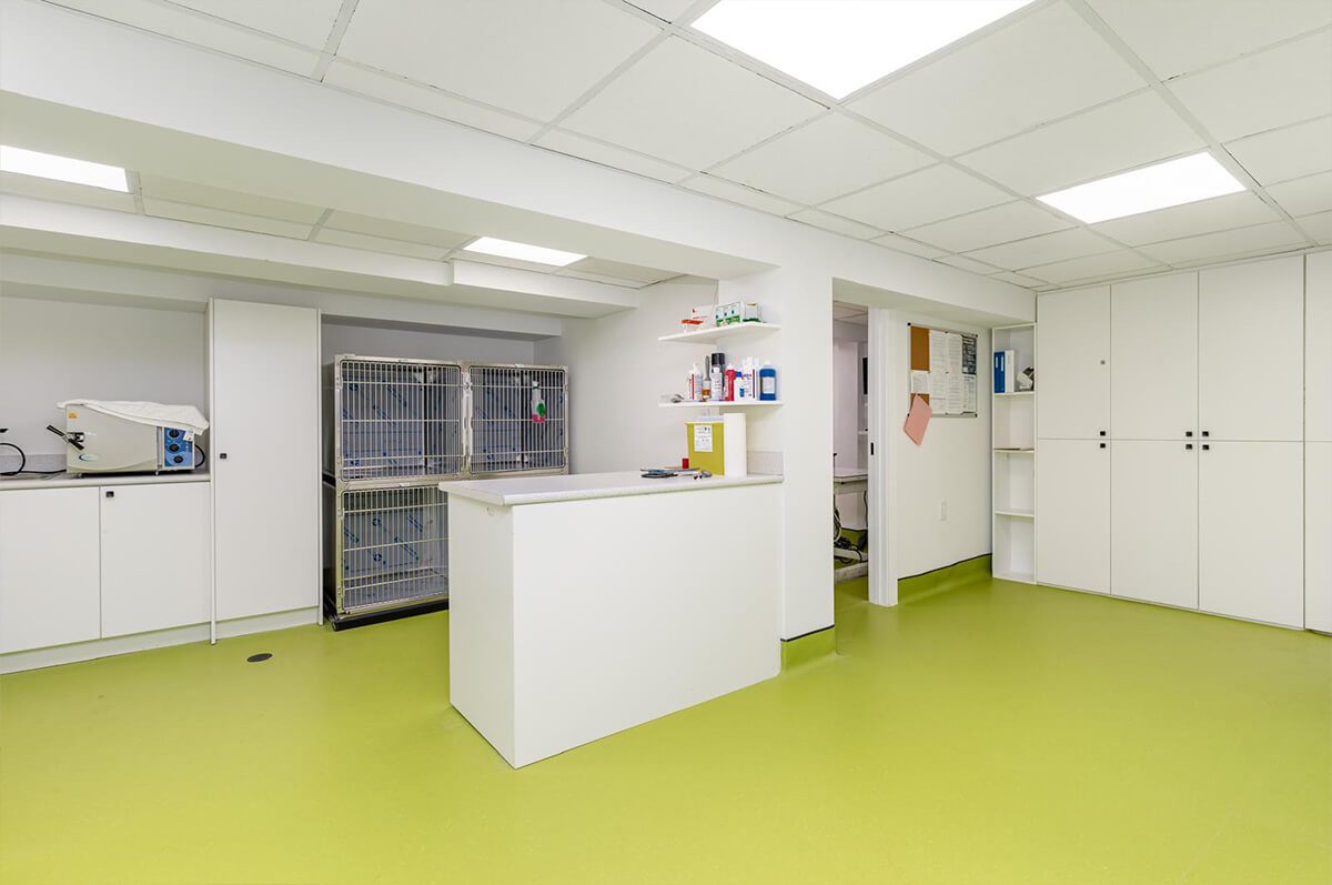 Treatment Area in east york animal clinic
