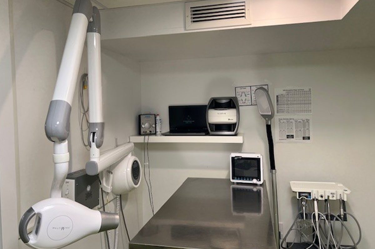 Dental X-ray area in east york animal clinic