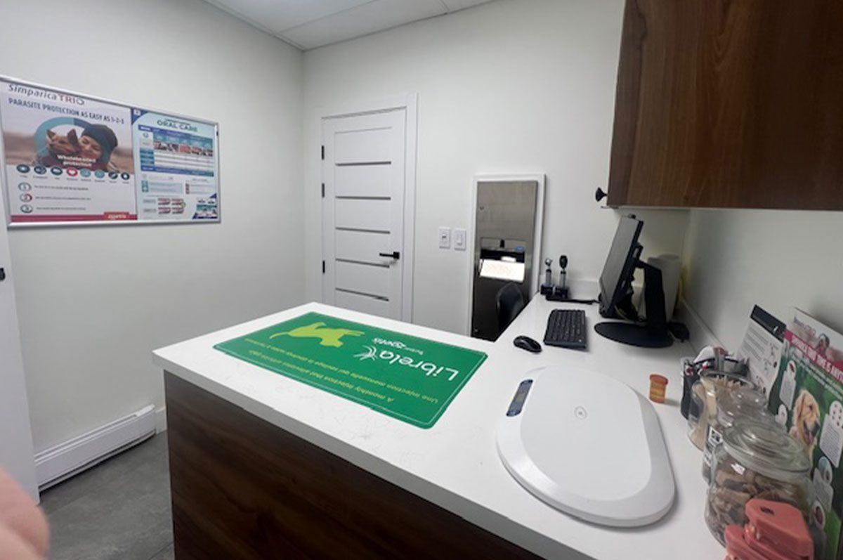 Dog room in east york animal clinic