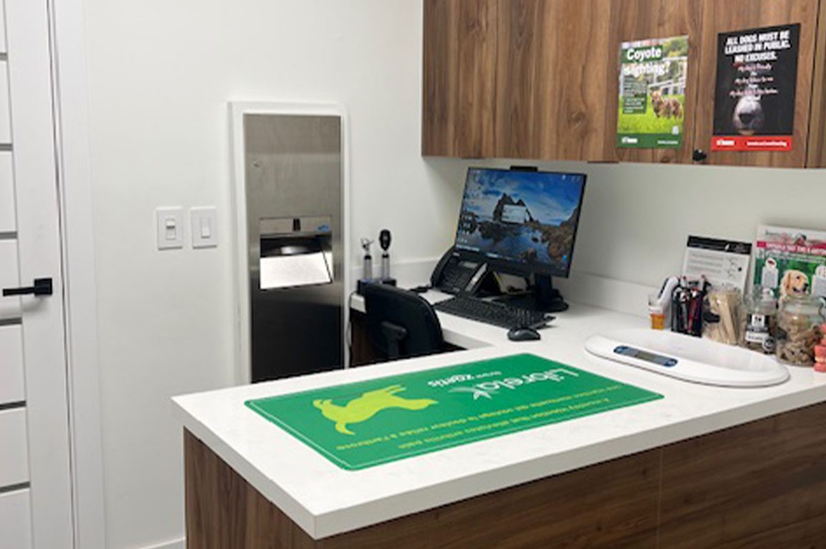 Dog room in east york animal clinic