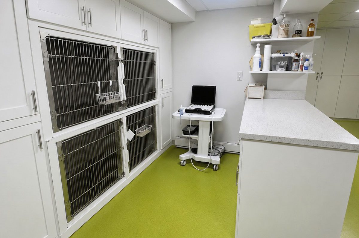 Treatment Area in east york animal clinic