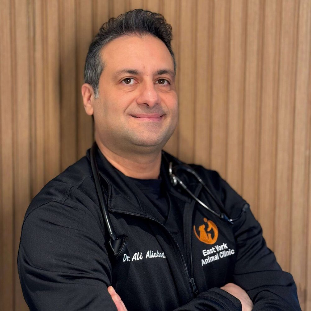 Dr Ali Aliabadi posing against a wood panel background