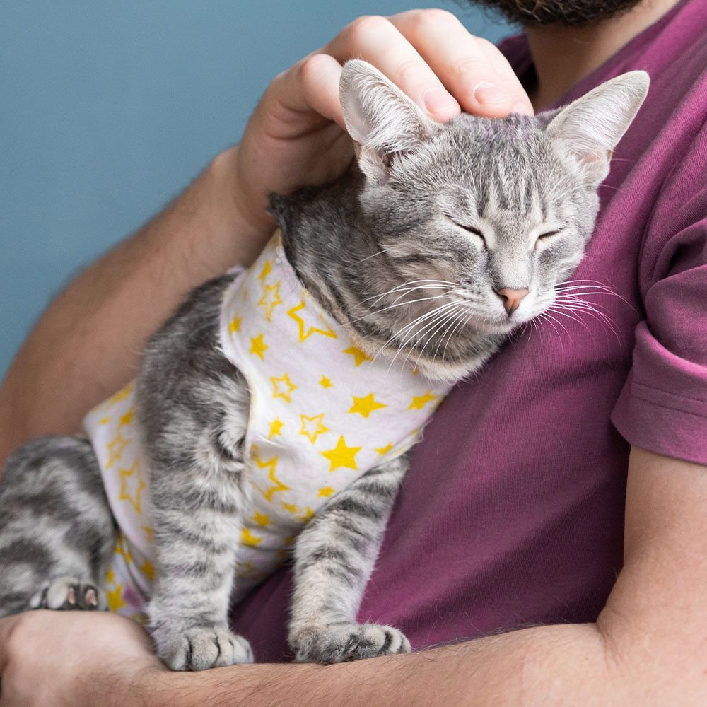 man petting striped grey tabby cat wearing yellow star patterned recovery clothing after surgery
